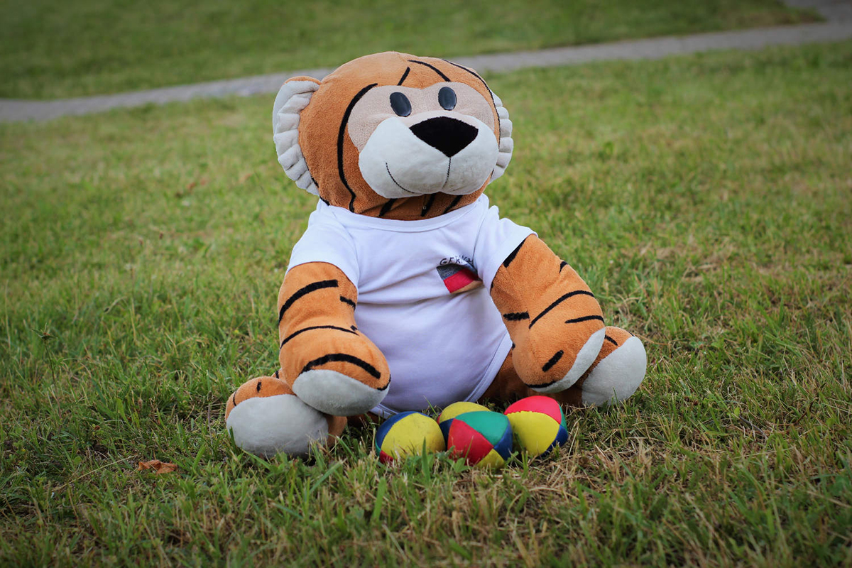 Das Maskottchen der Bundesweiten Mathematik-Wettbewerbe, die MathemaTigerin, sitzt im Gras. 